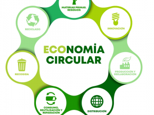 ¿Qué es la economía circular?