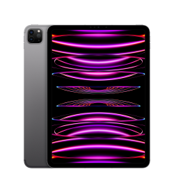iPad Pro M2 11" - 256 Gb
