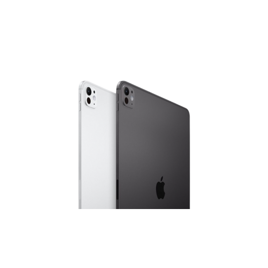 iPad Pro M1 de 12,9" - 256 Gb CONVERTIBLES TABLET